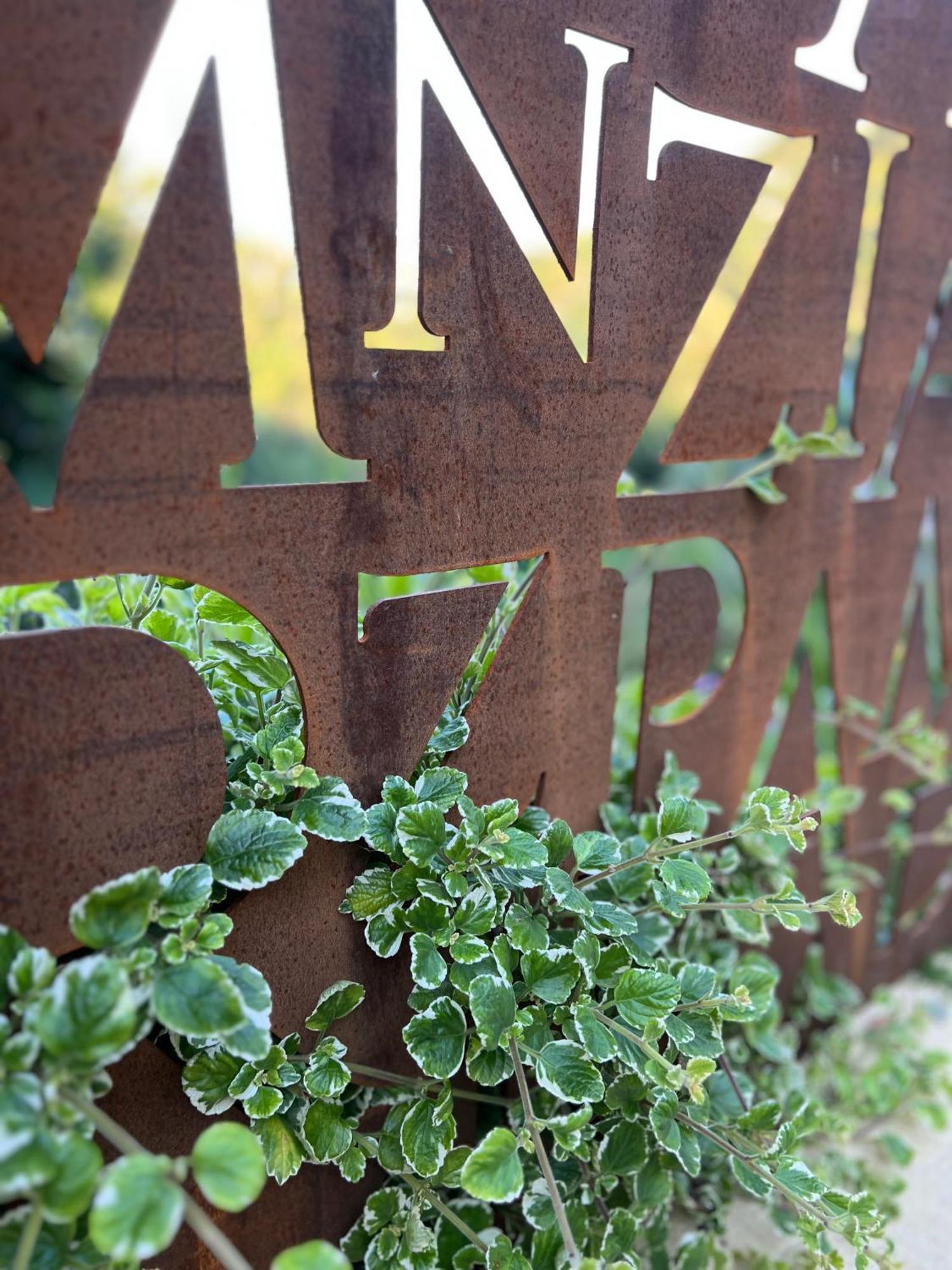 Tenuta Zamparina 蒙蒂尼奥索 外观 照片